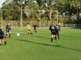 Training Schouwen-Duiveland Selectie Onder 13 & 14 op sportpark 'Het Springer' van maandag 5 juni 2023 (40/53)